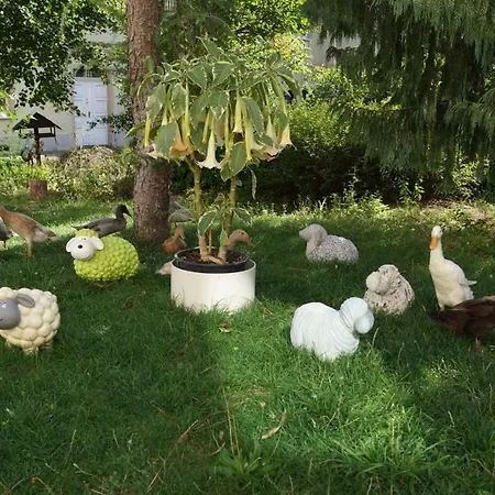 Rositas Gastehaus Im Meisterhof Séjour chez l'habitant Goehren (Ruegen)