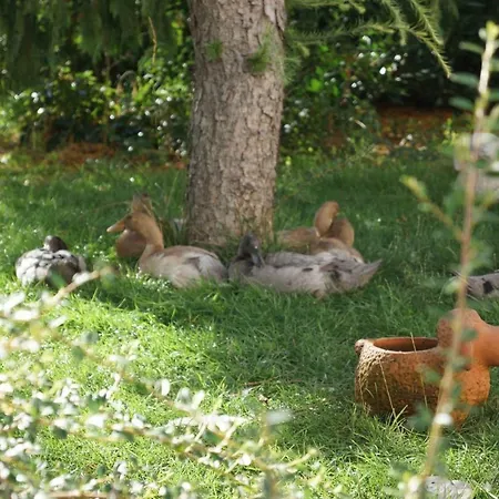 Rositas Gastehaus Im Meisterhof Séjour chez l'habitant