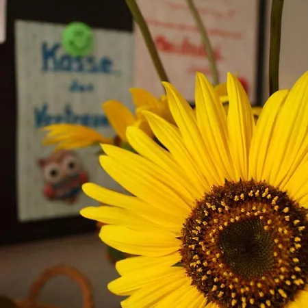 Rositas Gastehaus Im Meisterhof Homestay *